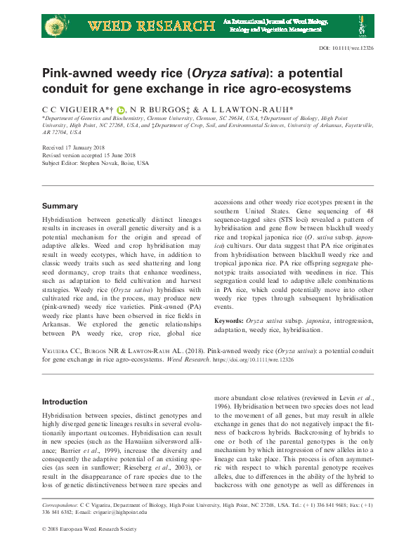 (PDF) Pink-awned weedy rice (Oryza sativa ): a potential conduit for ...