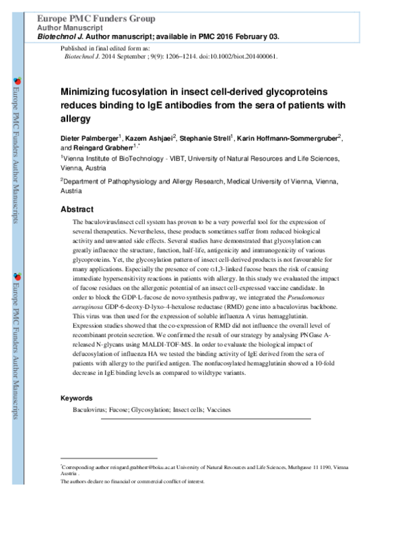 Minimizing fucosylation in insect cell‐derived glycoproteins reduces binding to IgE antibodies from the sera of patients with allergy