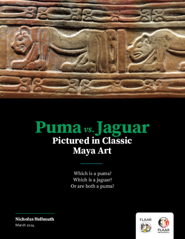 (PDF) Puma vs Jaguar Pictured in Classic Maya Art