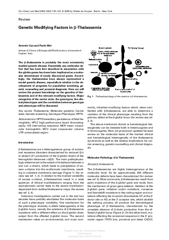 (PDF) Genetic Modifying Factors in β-Thalassemia