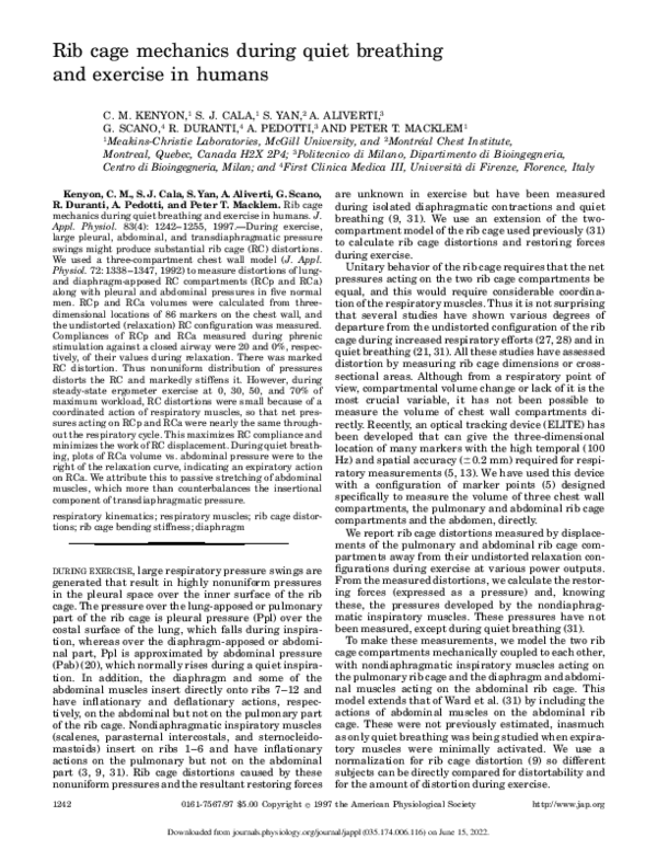 (PDF) Rib cage mechanics during quiet breathing and exercise in humans