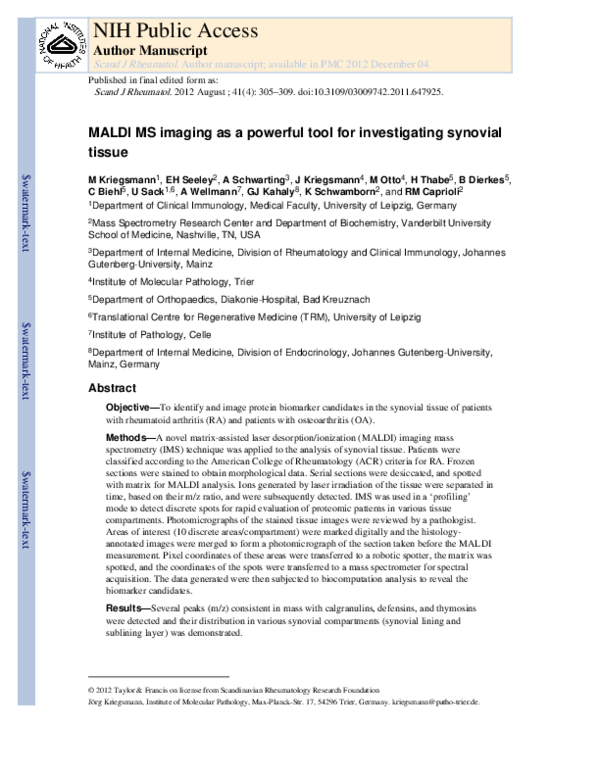 (PDF) MALDI MS imaging as a powerful tool for investigating synovial tissue