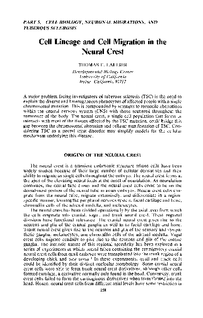 (PDF) Cell Lineage and Cell Migration in the Neural Crest