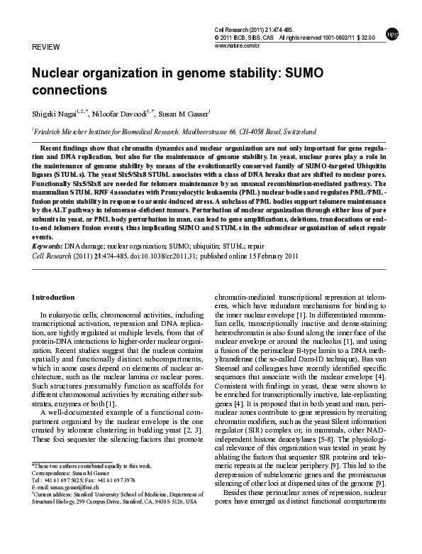 (PDF) Nuclear organization in genome stability: SUMO connections