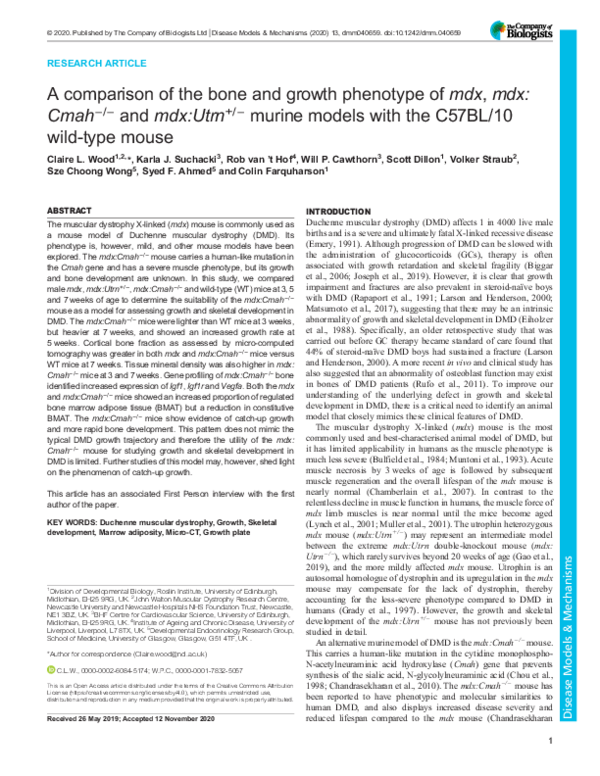 (PDF) A comparison of the bone and growth phenotype of mdx , mdx:cmah − ...