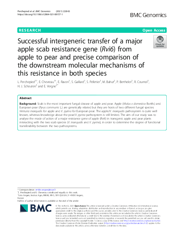 (PDF) Successful intergeneric transfer of a major apple scab resistance ...
