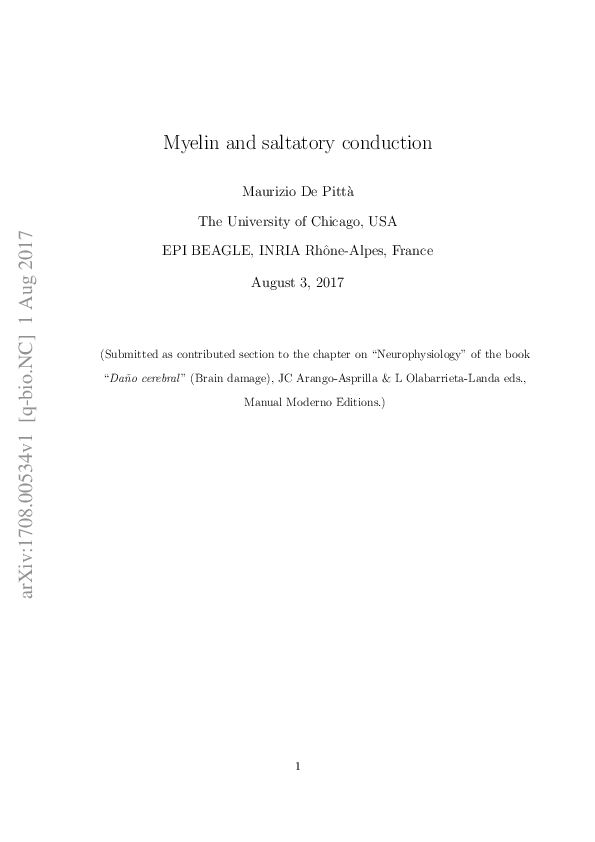 (PDF) Myelin and saltatory conduction