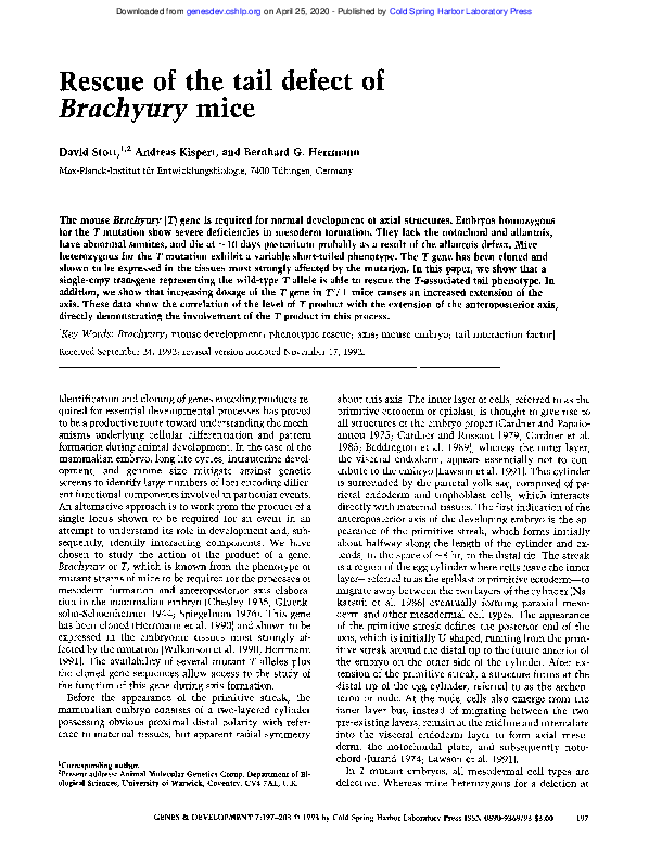(PDF) Rescue of the tail defect of Brachyury mice