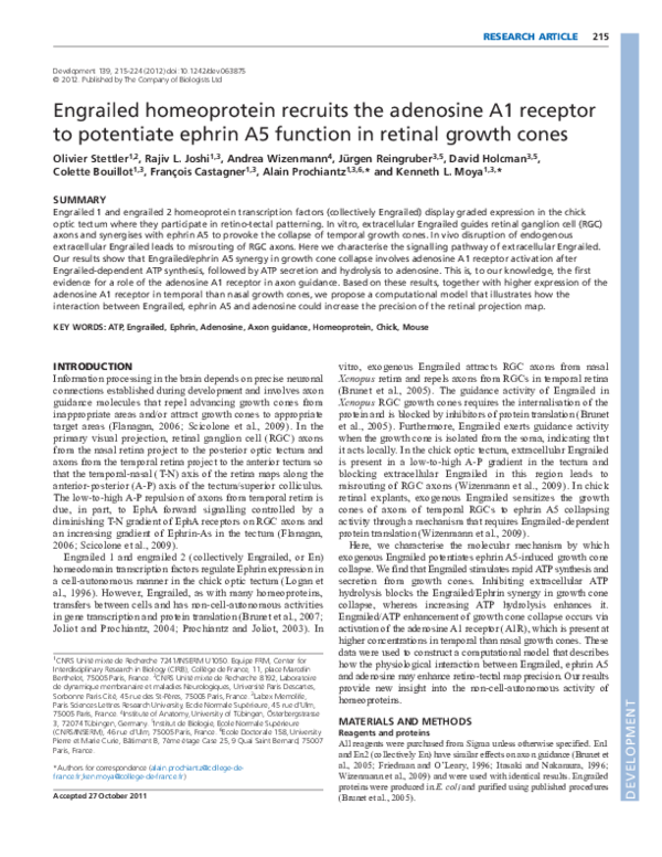 (PDF) Engrailed homeoprotein recruits the adenosine A1 receptor to ...