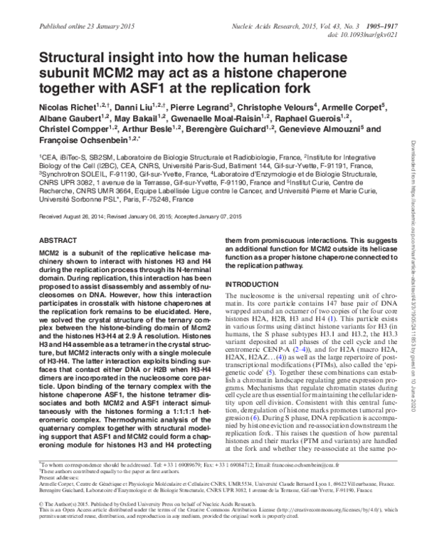 Structural insight into how the human helicase subunit MCM2 may act as ...