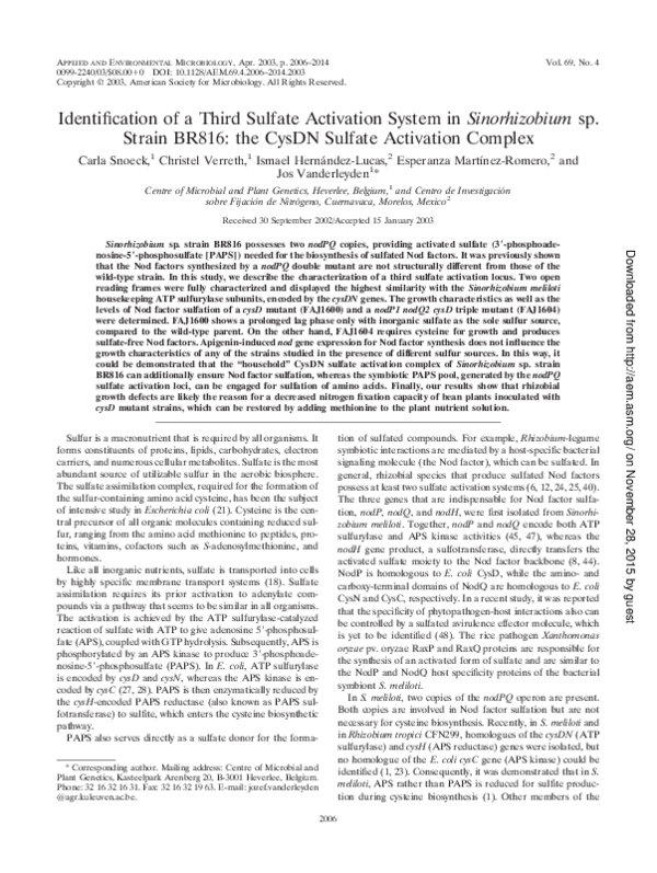 (PDF) Identification of a Third Sulfate Activation System in ...
