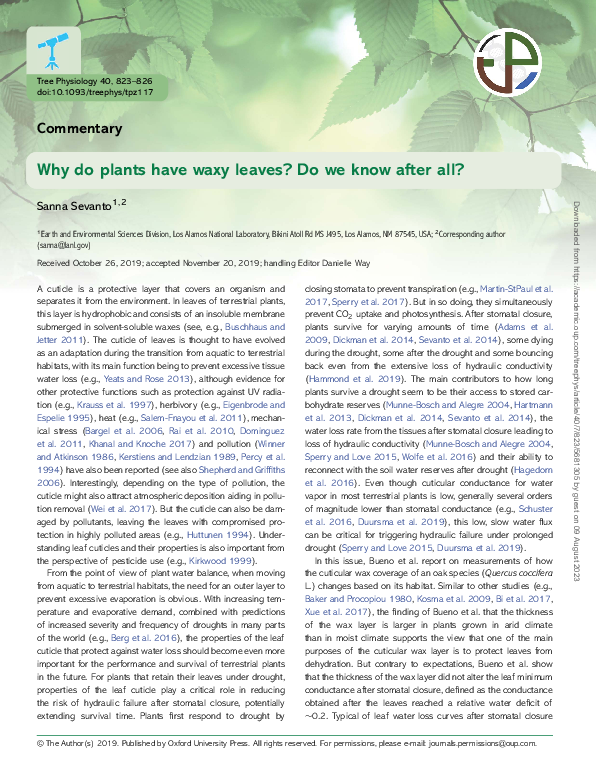 (PDF) Why do plants have waxy leaves? Do we know after all?