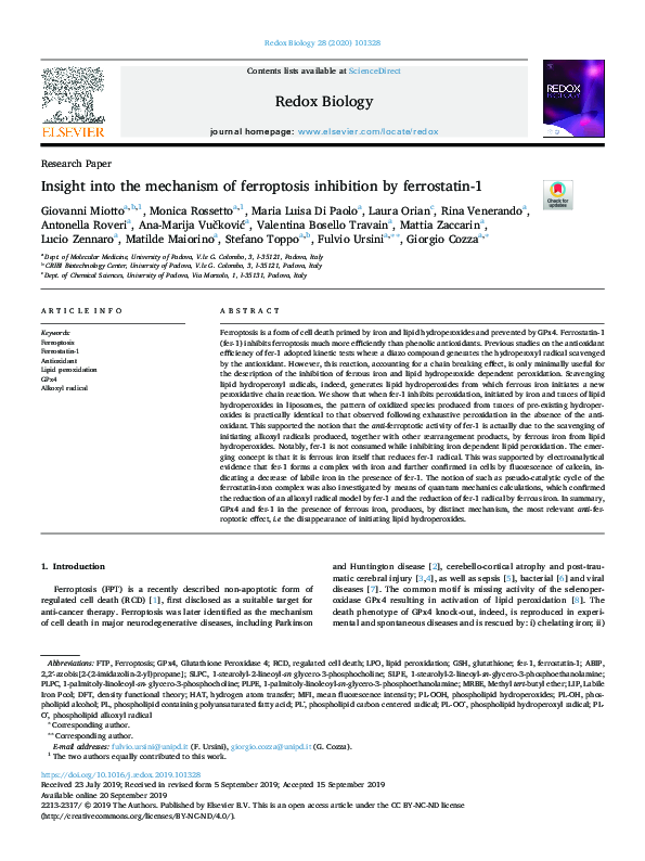 (PDF) Insight into the mechanism of ferroptosis inhibition by ferrostatin-1