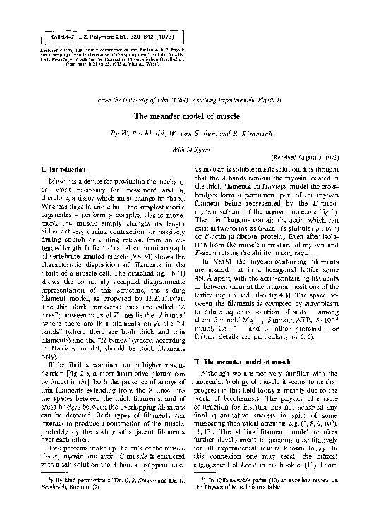 (PDF) The meander model of muscle
