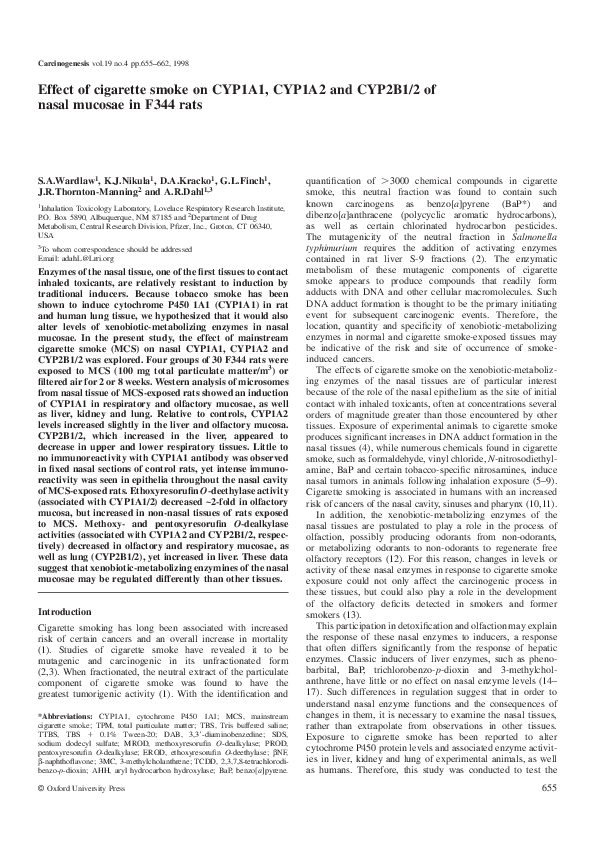(PDF) Effect of cigarette smoke on CYP1A1, CYP1A2 and CYP2B1/2 of nasal ...