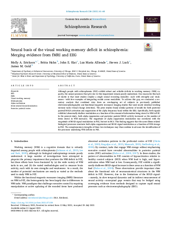 (PDF) Neural basis of the visual working memory deficit in ...