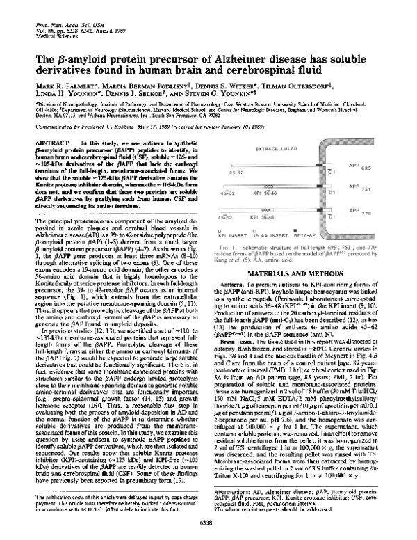 (PDF) The beta-amyloid protein precursor of Alzheimer disease has ...