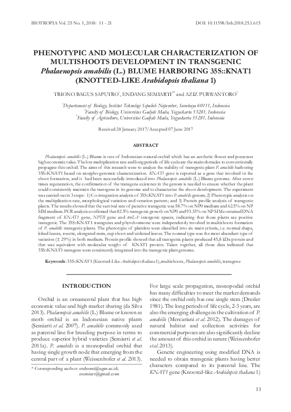 (PDF) PHENOTYPIC AND MOLECULAR CHARACTERIZATION OF MULTISHOOTS ...