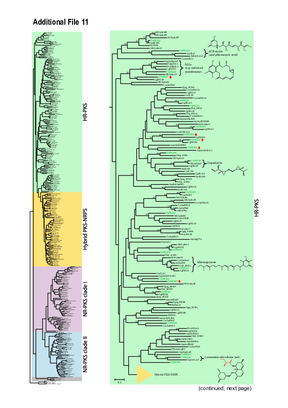 (PDF) Additional file 11: of Gapless genome assembly of Colletotrichum ...