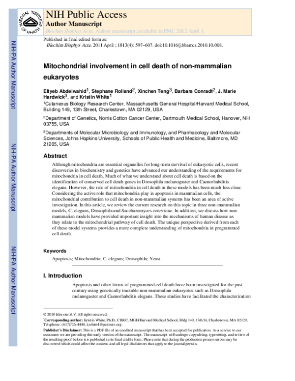 (PDF) Mitochondrial involvement in cell death of non-mammalian eukaryotes