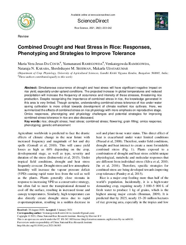 (PDF) Combined Drought and Heat Stress in Rice: Responses, Phenotyping ...