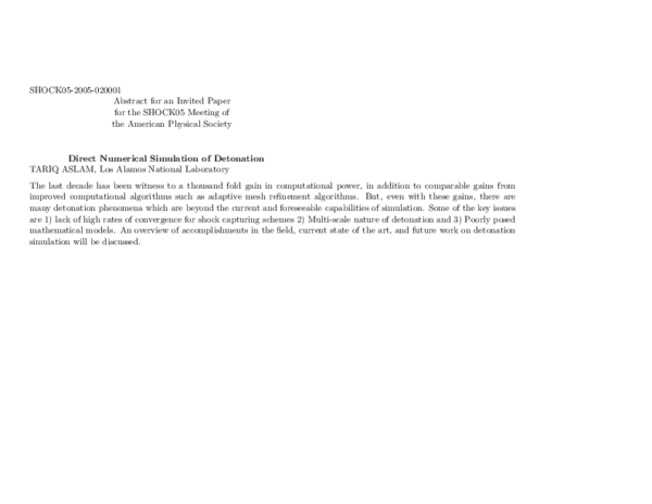 (PDF) Direct Numerical Simulation of Detonation