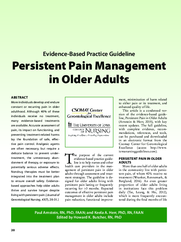 (PDF) Evidence-Based Practice Guideline: Persistent Pain Management in ...