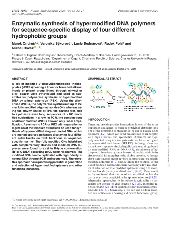 (PDF) Enzymatic synthesis of hypermodified DNA polymers for sequence ...