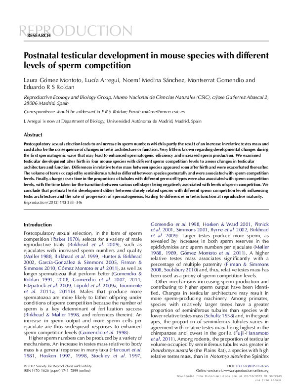 (PDF) Postnatal testicular development in mouse species with different ...