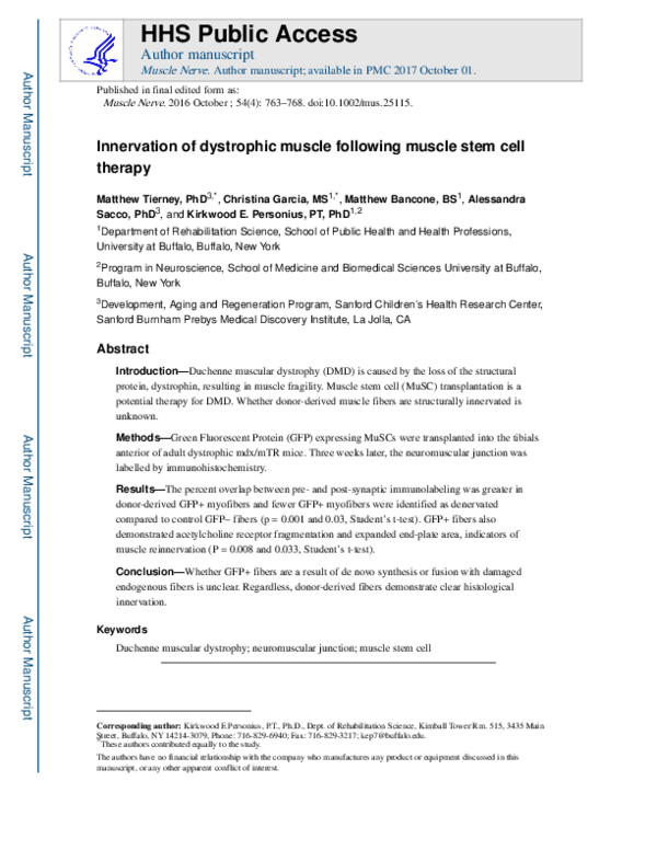 (PDF) Innervation of dystrophic muscle after muscle stem cell therapy