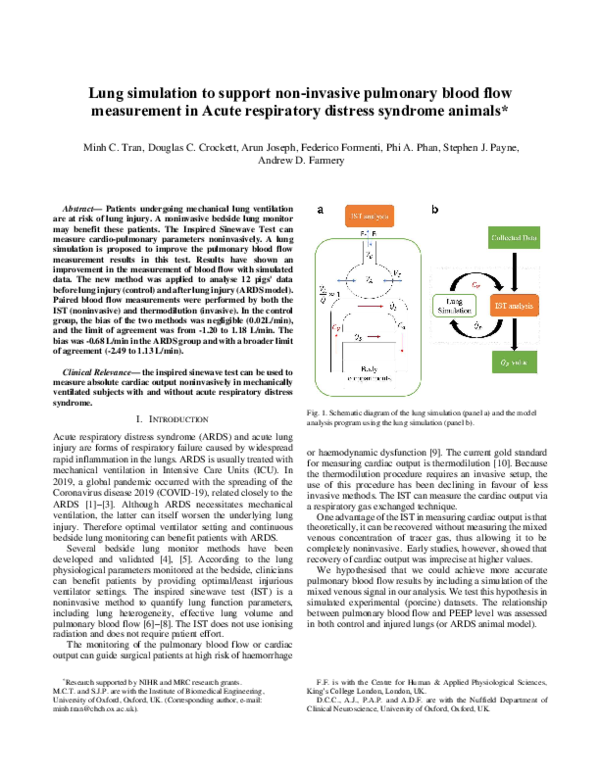 (PDF) Lung simulation to support non-invasive pulmonary blood flow ...