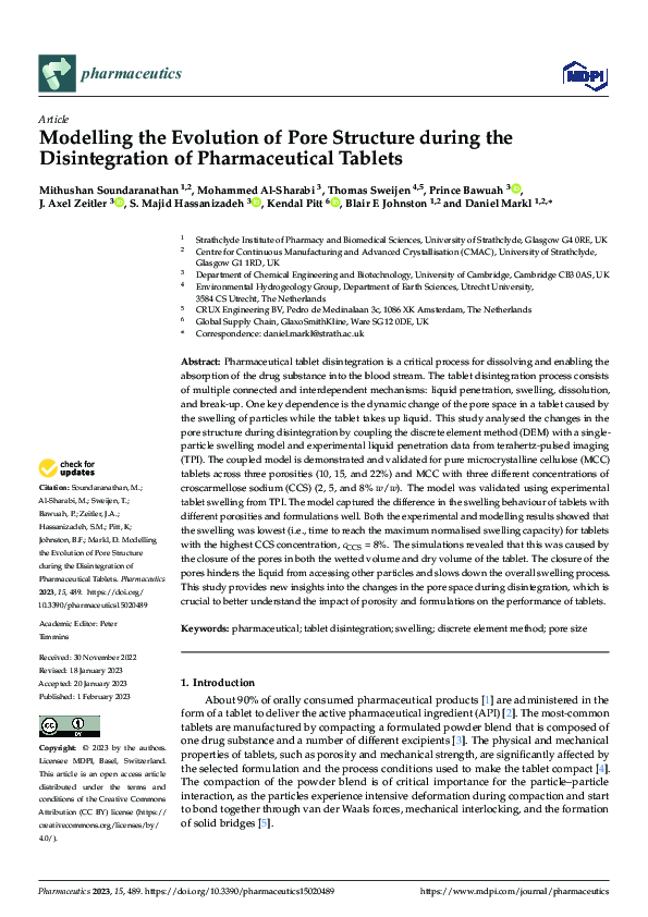 (PDF) Modelling the Evolution of Pore Structure during the ...