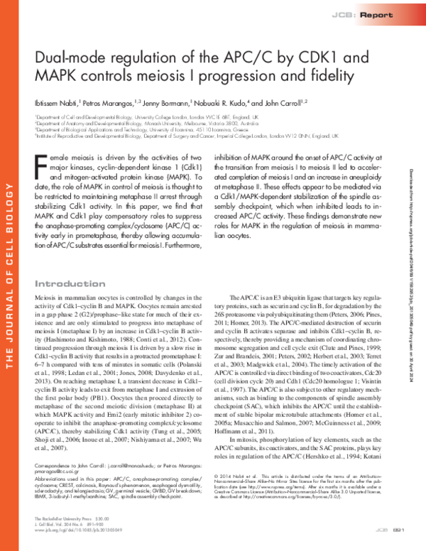 (PDF) Dual-mode regulation of the APC/C by CDK1 and MAPK controls ...