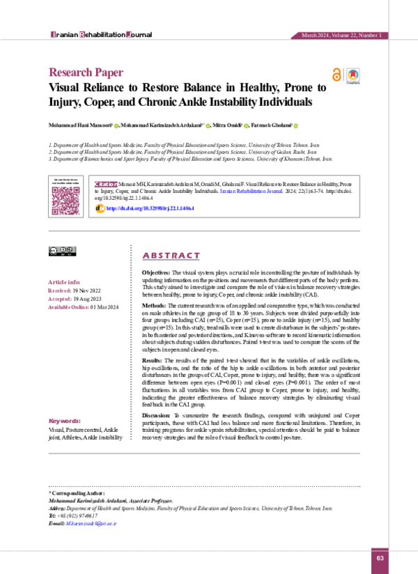 (PDF) Visual Reliance to Restore Balance in Healthy, Prone to Injury ...