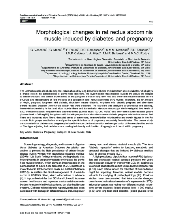 (PDF) Morphological changes in rat rectus abdominis muscle induced by ...
