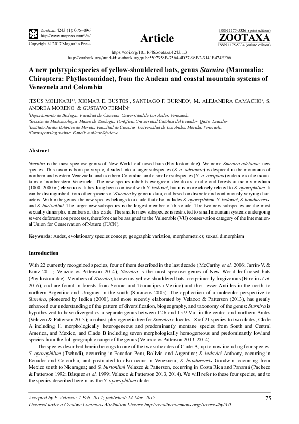 (PDF) A new polytypic species of yellow-shouldered bats, genus Sturnira ...