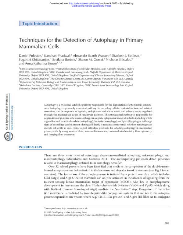 (PDF) Techniques for the Detection of Autophagy in Primary Mammalian Cells