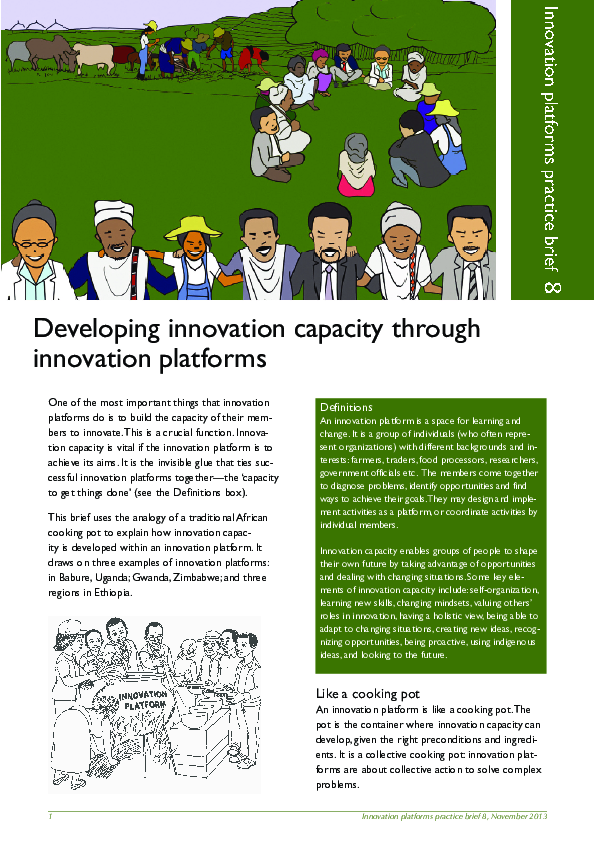 (PDF) Developing innovation capacity through innovation platforms ...