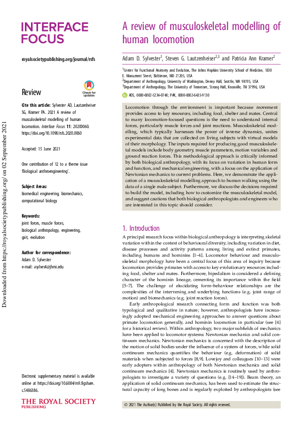 (PDF) A review of musculoskeletal modelling of human locomotion