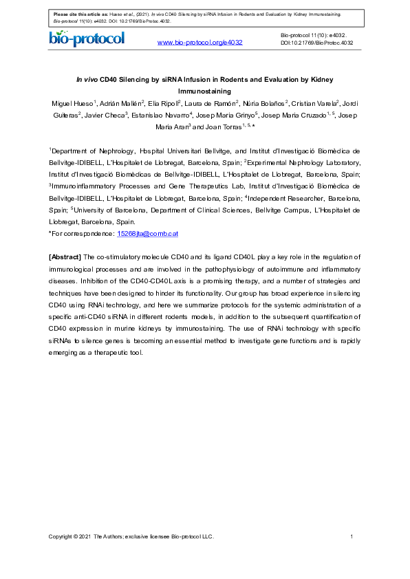 (PDF) In vivo CD40 Silencing by siRNA Infusion in Rodents and ...