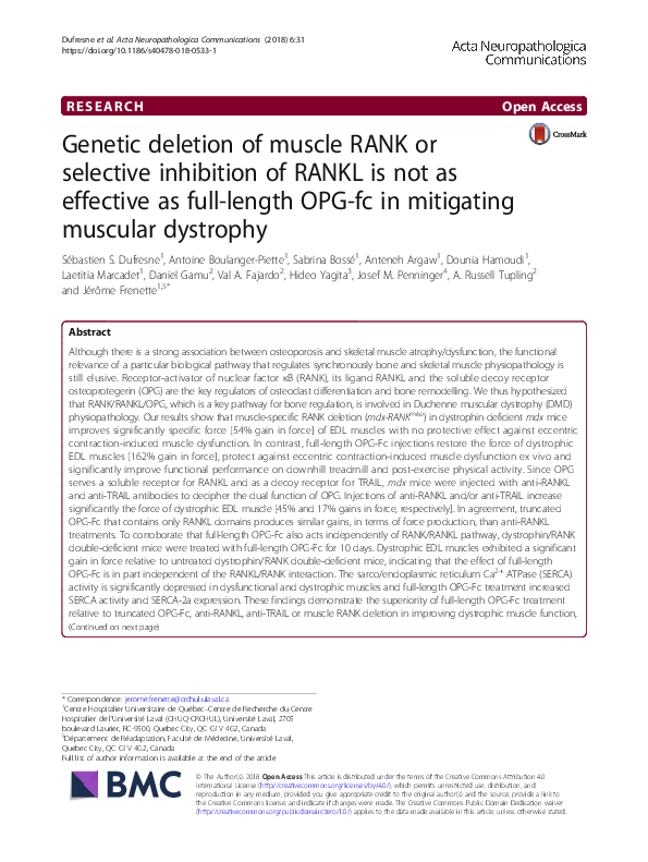 (PDF) Genetic deletion of muscle RANK or selective inhibition of RANKL ...