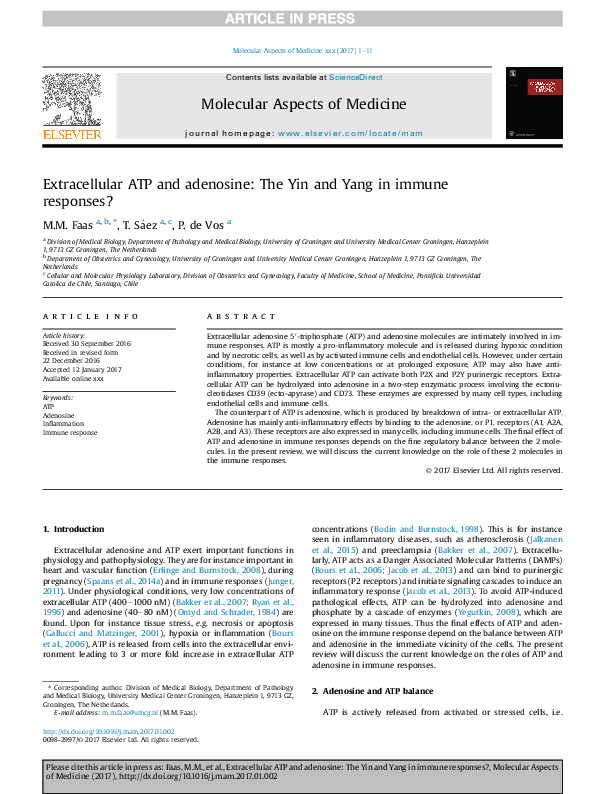 (PDF) Extracellular ATP and adenosine: The Yin and Yang in immune ...