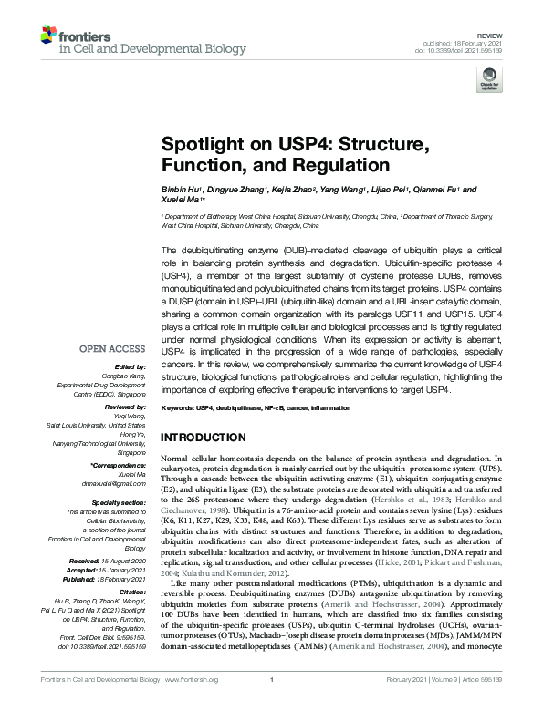 (PDF) Spotlight on USP4: Structure, Function, and Regulation
