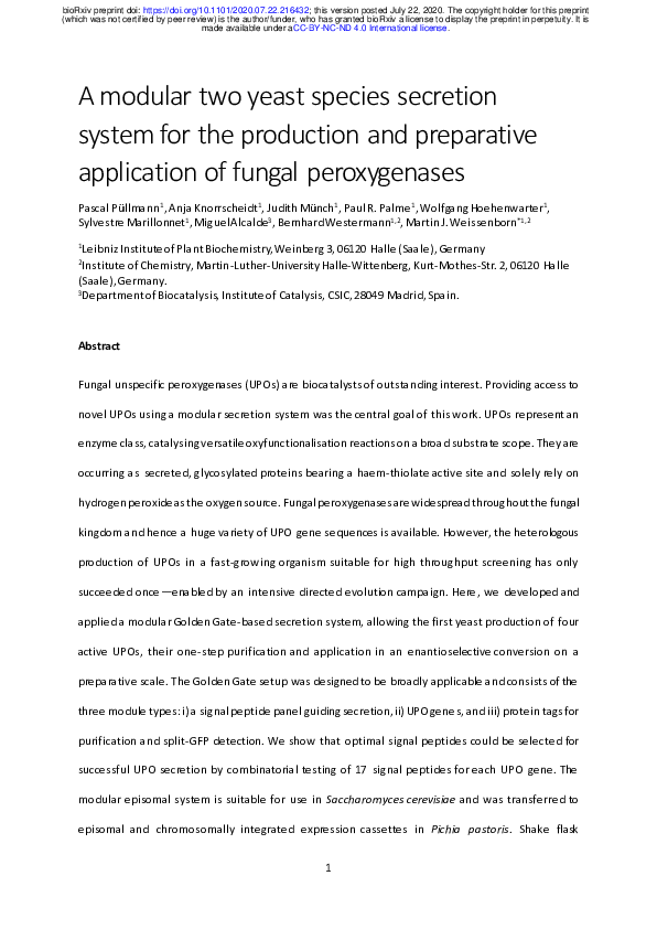 (PDF) A modular two yeast species secretion system for the production ...