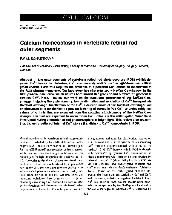 (PDF) Calcium homeostasis in vertebrate retinal rod outer segments