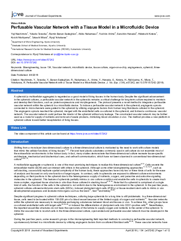 (PDF) Perfusable Vascular Network with a Tissue Model in a Microfluidic ...