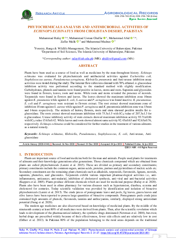 (PDF) PHYTOCHEMICALS ANALYSIS AND ANTIMICROBIAL ACTIVITIES OF ECHINOPS ...