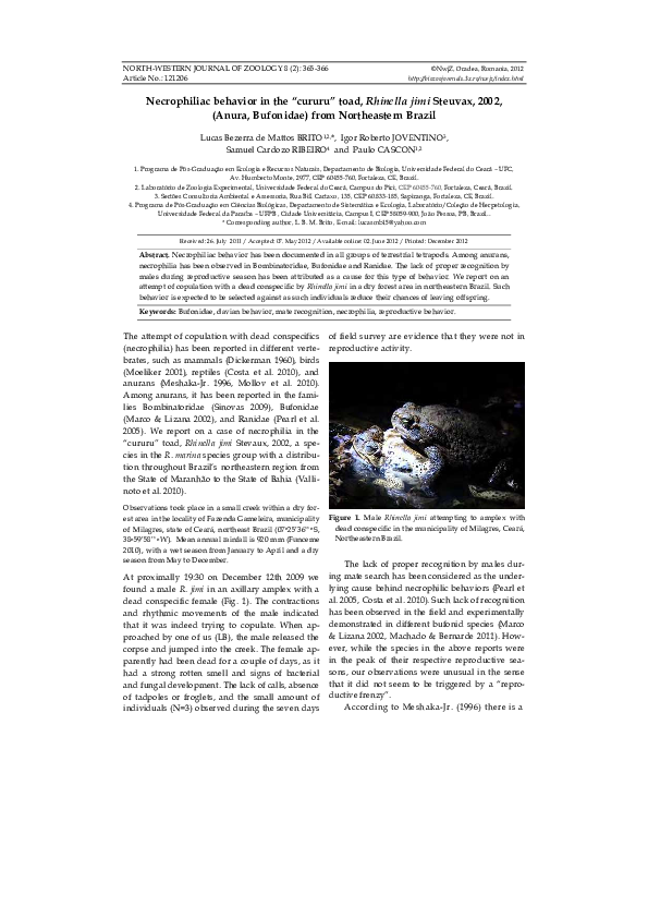 Curated visual reference: Feline Necrophilia Behavior Reference: Pdf Necrophiliac Behavior In The Cururu Toad Rhinella Jimi Steuvax