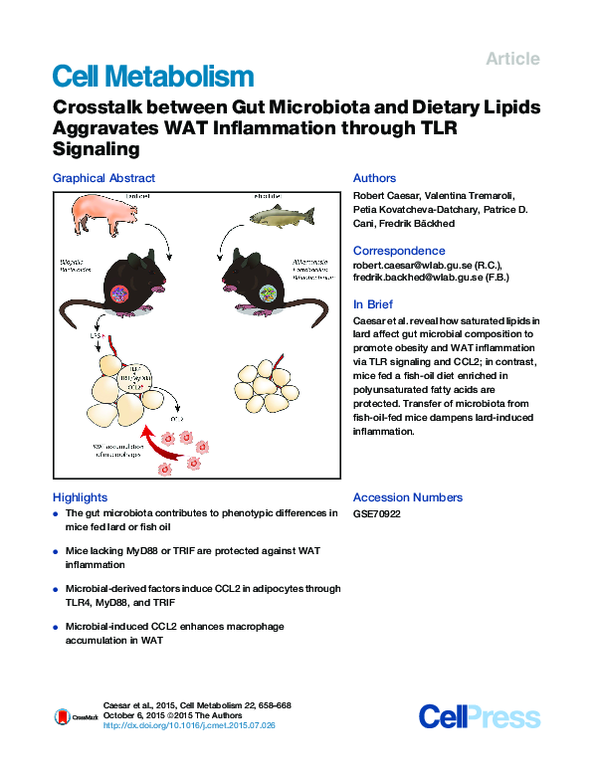 (PDF) Crosstalk between Gut Microbiota and Dietary Lipids Aggravates ...