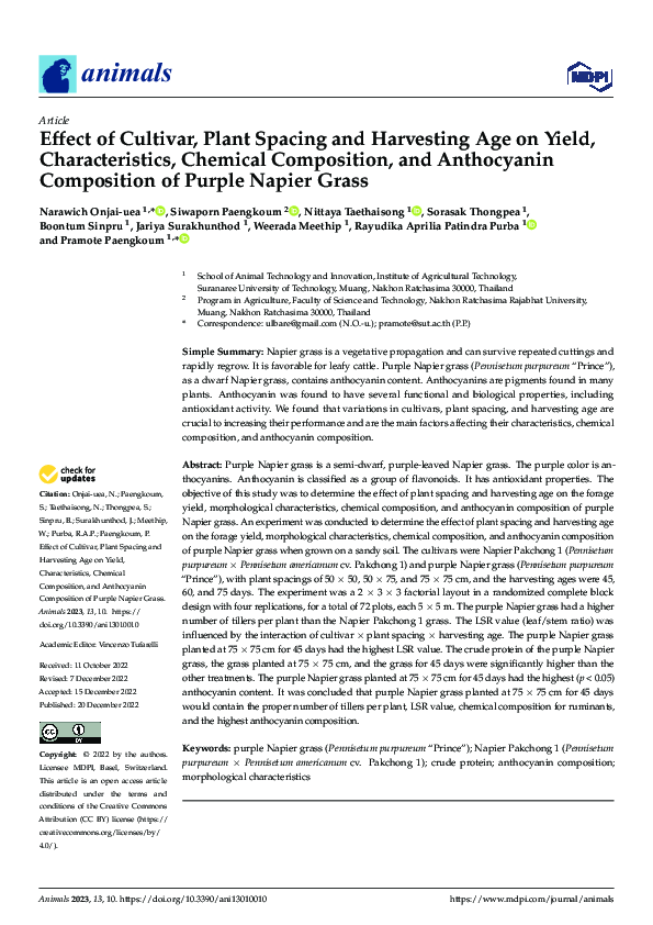 (PDF) Effect of Cultivar, Plant Spacing and Harvesting Age on Yield ...